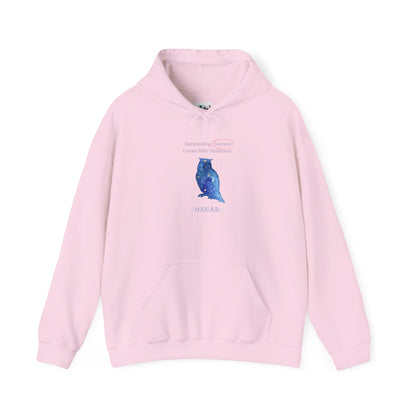 Personalized Owl Galaxy Hooded Sweatshirt
