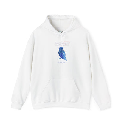 Personalized Owl Galaxy Hooded Sweatshirt