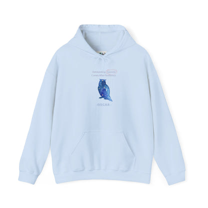 Personalized Owl Galaxy Hooded Sweatshirt